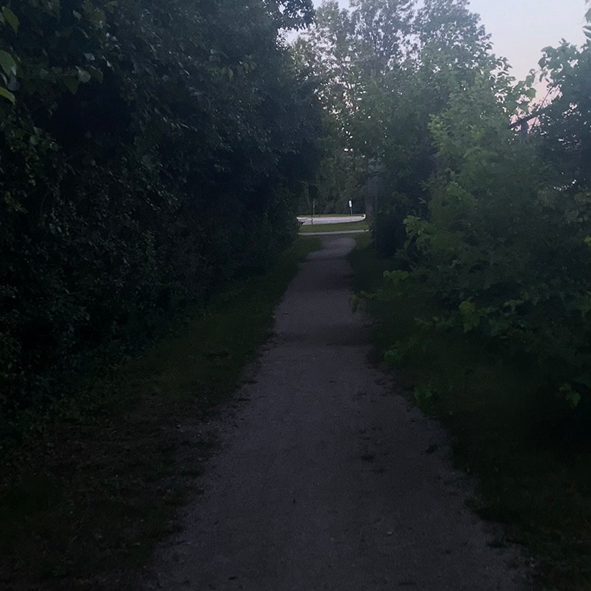 This is a trail that leads into the woods. I utilize the sound of walking across the dirt floor as my audio.